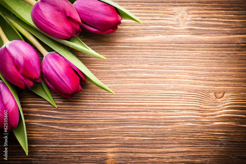 Fototapeta Naklejka Na Ścianę i Meble -  Tulip.