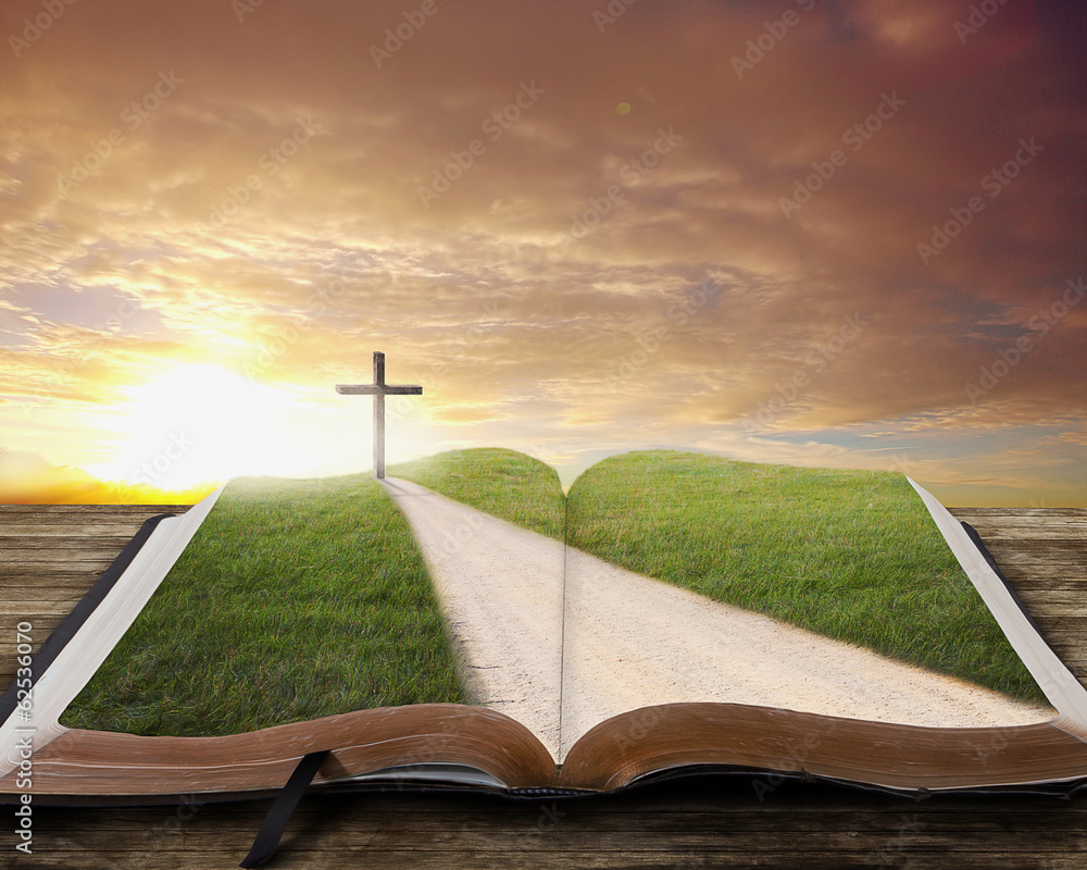 Naklejka premium Open Bible with road.