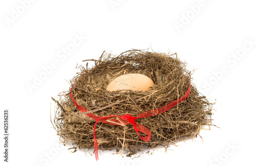 Nest with eggs