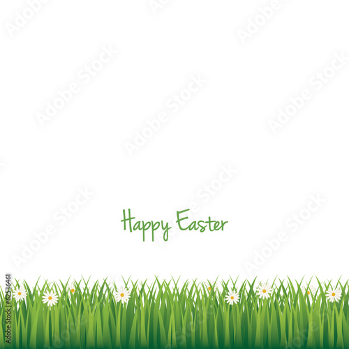 happy easter daisy meadow isolated background