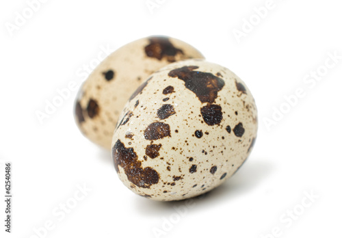 quail eggs
