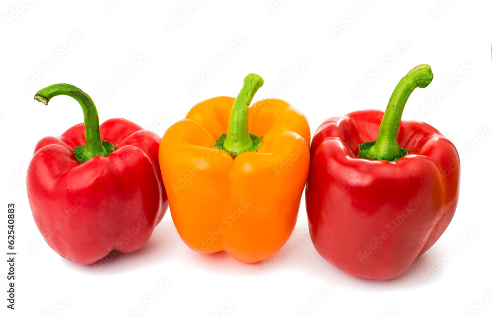 pepper isolated pepper isolated