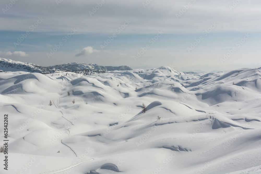 Ski track in a snow Ski track in a snow