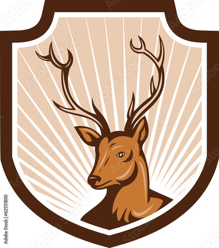 Deer Stag Buck Antler Head Shield