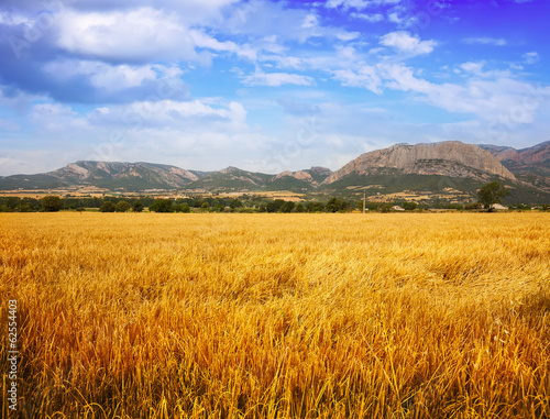 Fields at mountain valley. Lleida