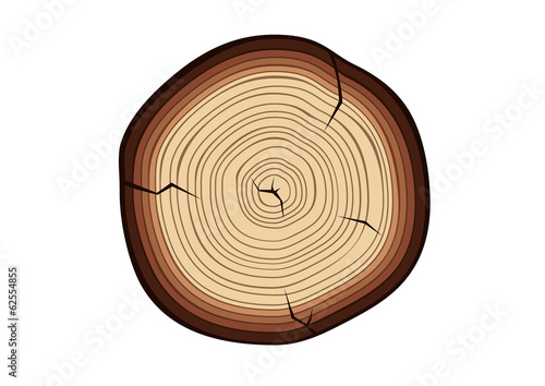 Wood cut