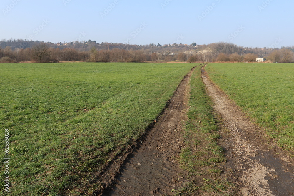 strada sterrata nella campagna lombarda strada sterrata nella campagna lombarda