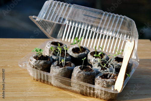 Mini greenhouse for balcony gardening
