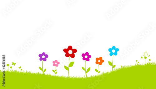 Grüne Bunte Blumenwiese