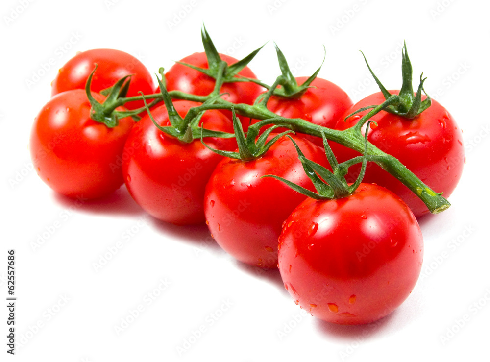 Tomatoes cherry branch isolated on white background Tomatoes cherry branch isolated on white background