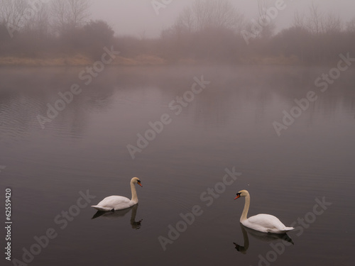 Nebel über einem Teich in Sachsen-Anhalt