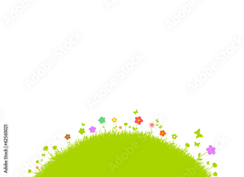 Grüne Bunte Blumenwiese