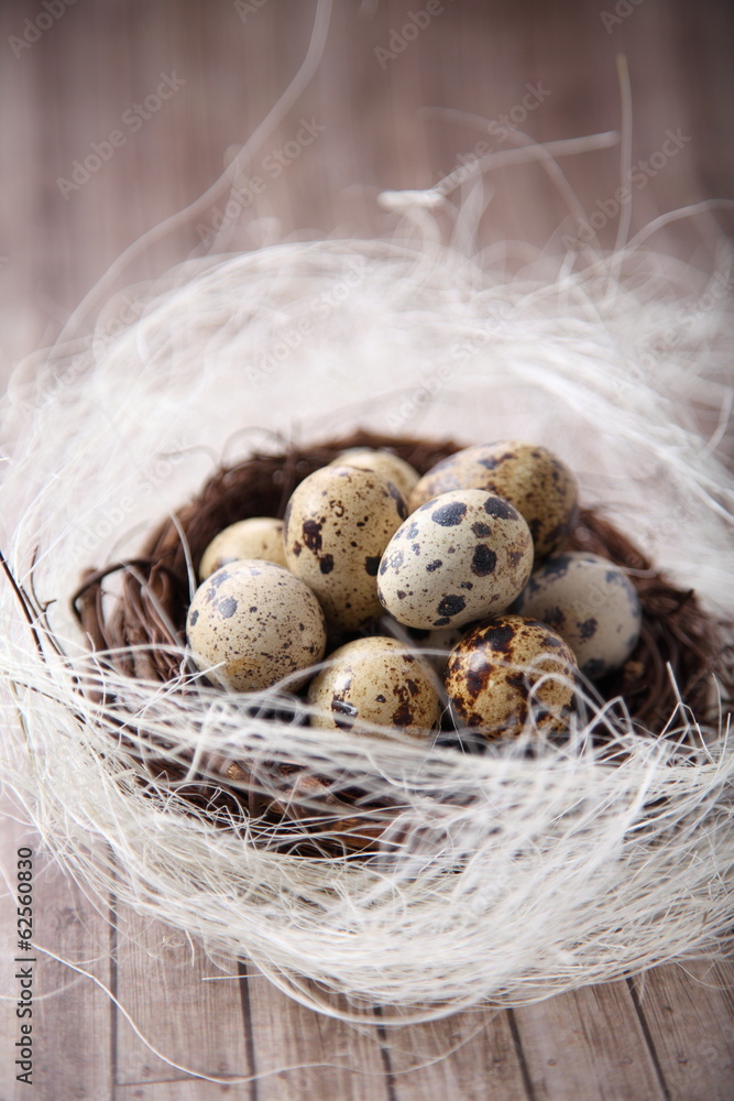 oeufs de caille oeufs de caille