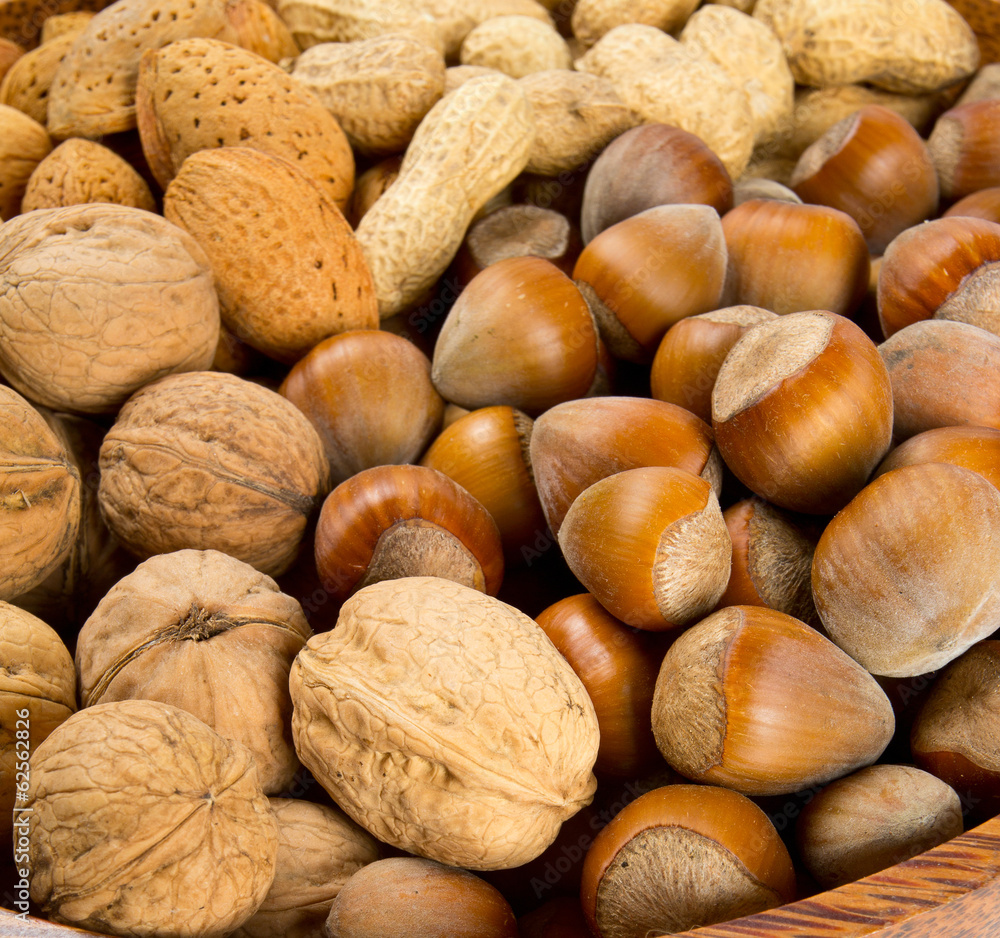 collection of shelled nuts collection of shelled nuts