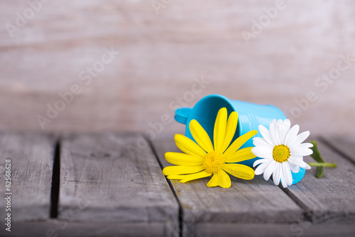 Fototapeta Naklejka Na Ścianę i Meble -  blüten gutschein holz