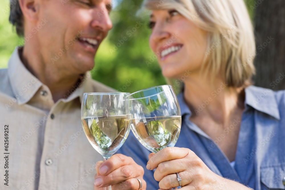 Romantic couple toasting wine glasses Romantic couple toasting wine glasses