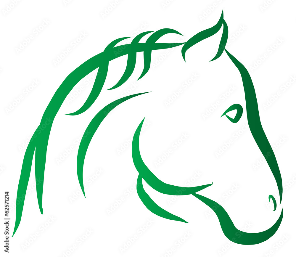 Fototapeta premium Head of Horse Vector