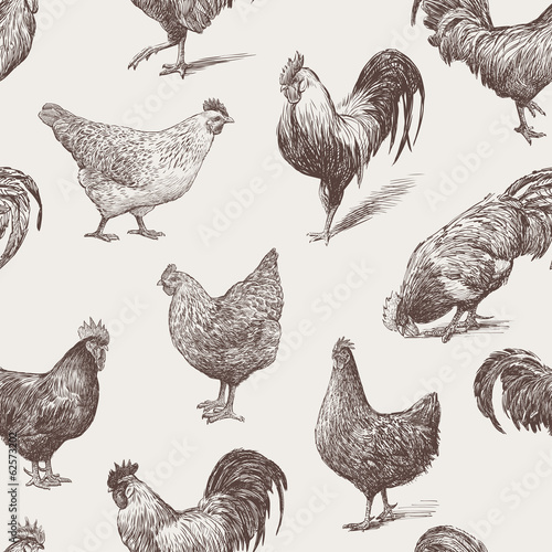 cocks and hens