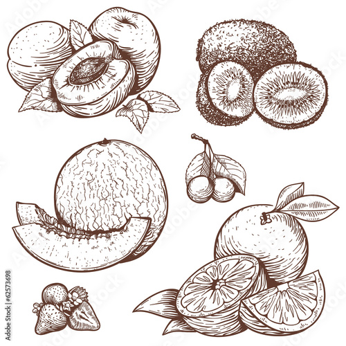 engraving illustration of sweet fruits and berries