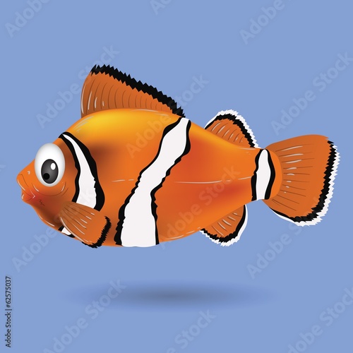 clownfish