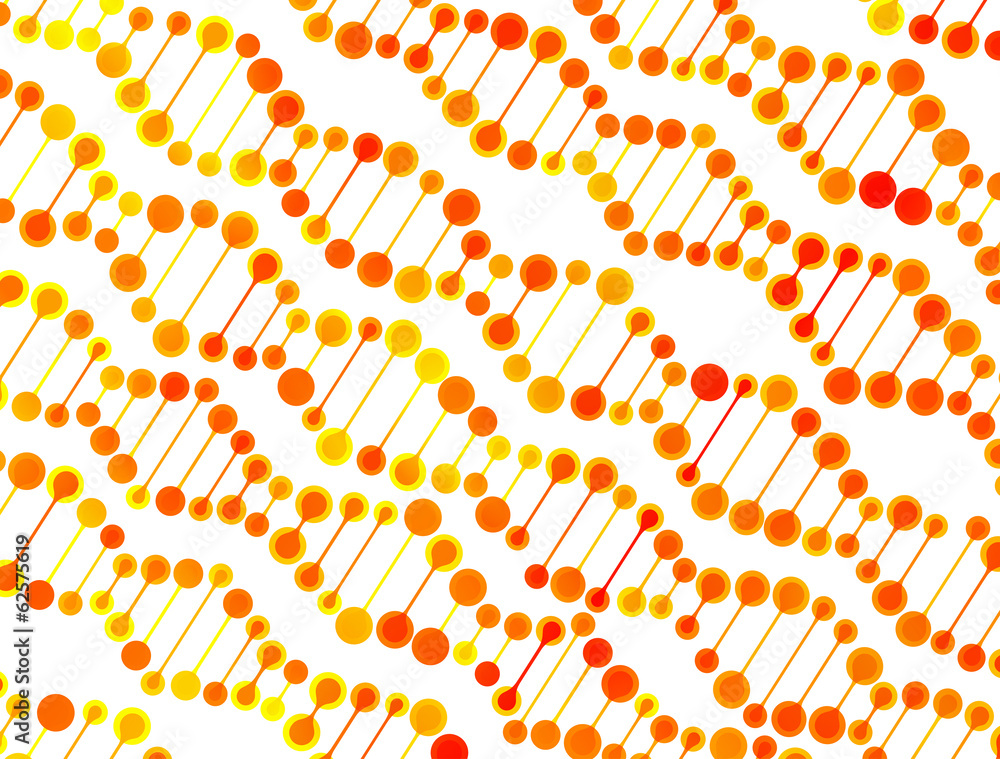beautiful structure of the DNA molecule beautiful structure of the DNA molecule