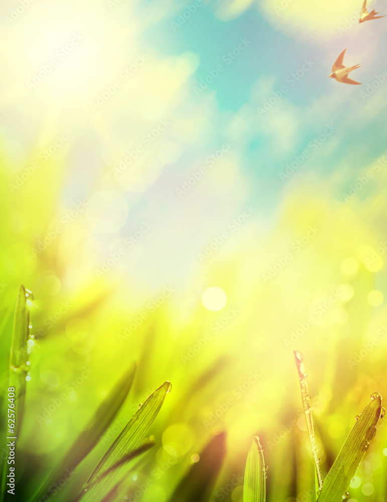 Obraz premium abstracts of natural spring background