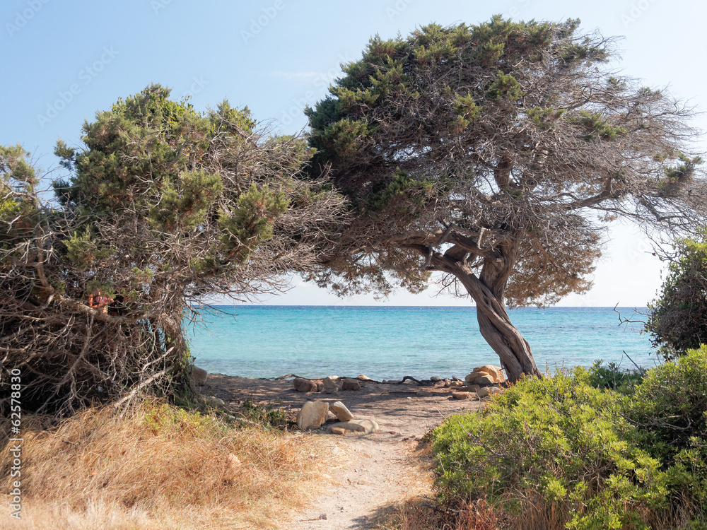 Landscape of Bidda Rosa beach in the gulf of Orosei Sardinia Ita