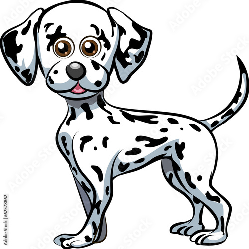 Dalmatian