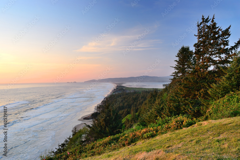 Fototapeta premium The Pacific coast. USA. Oregon. Cape Lookout State park