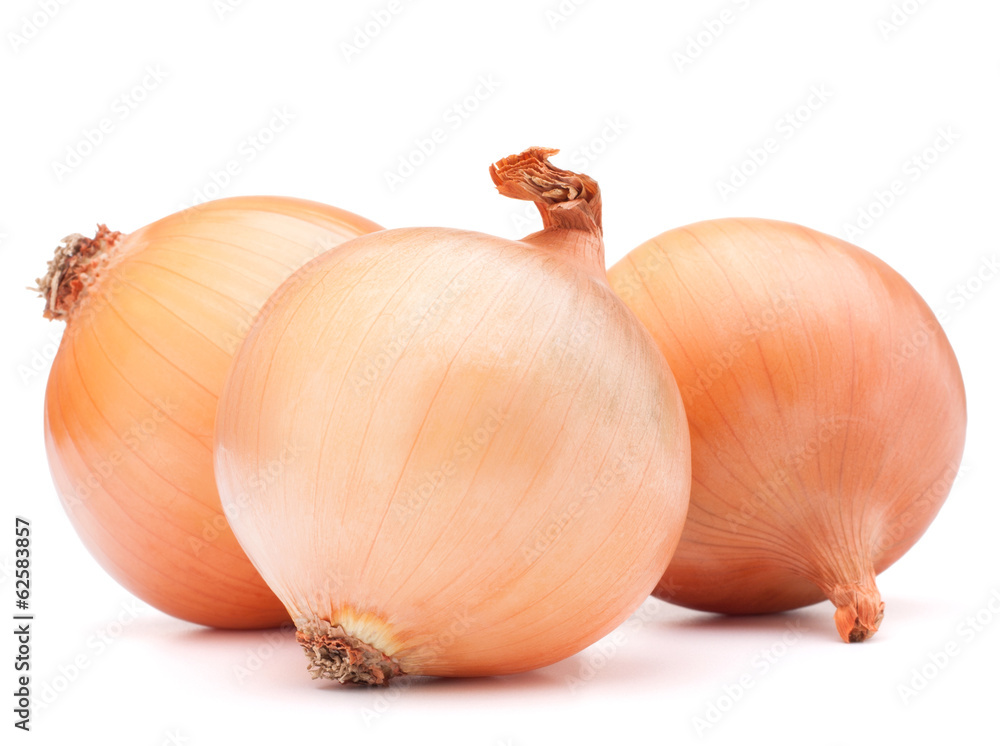 Fototapeta premium Gold onion vegetable bulbs
