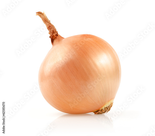 Onion Isolated on White Background