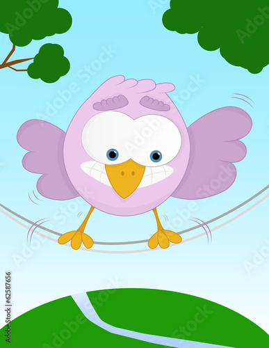 Unbalanced funny bird