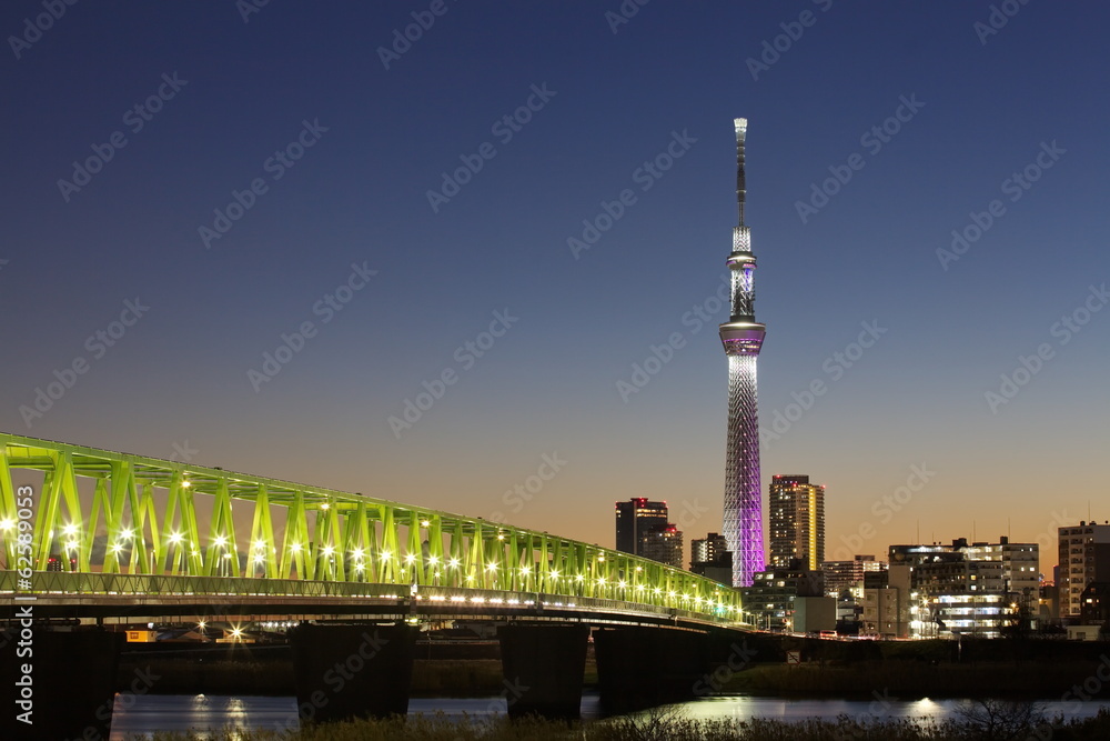 View of Tokyo skyline from Sumida river