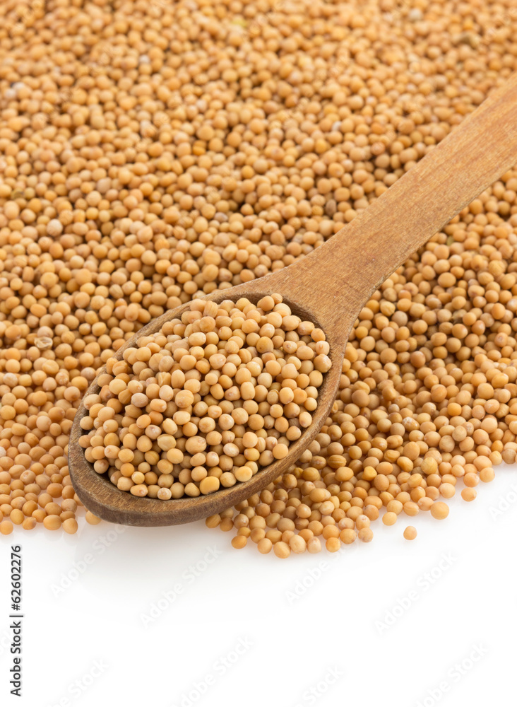 mustard spices and spoon on white mustard spices and spoon on white