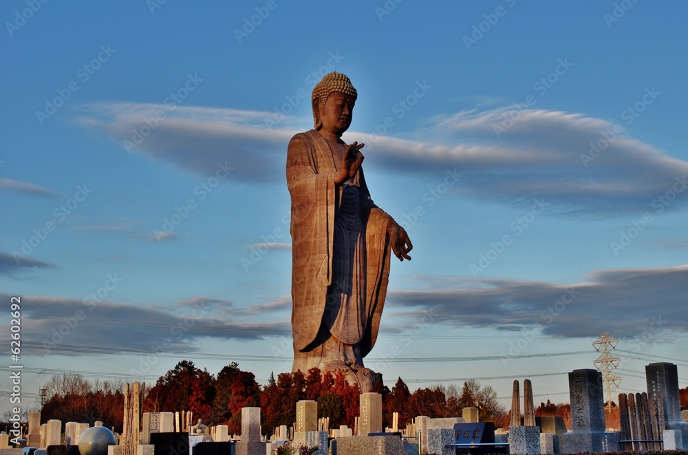 Naklejka premium Giant Buddha Statue in Japan