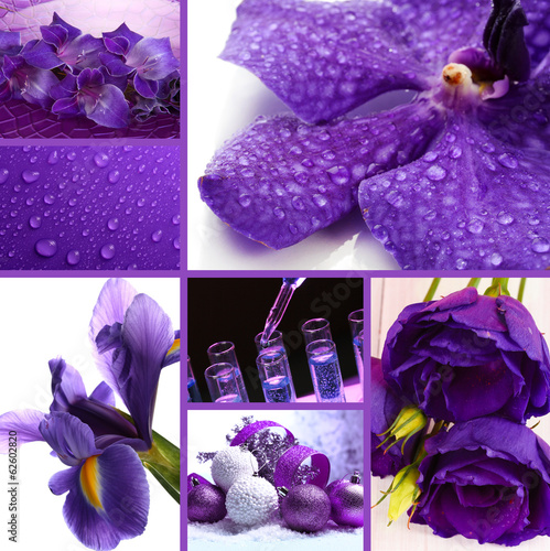 Fototapeta Naklejka Na Ścianę i Meble -  Collage of photos in purple colors
