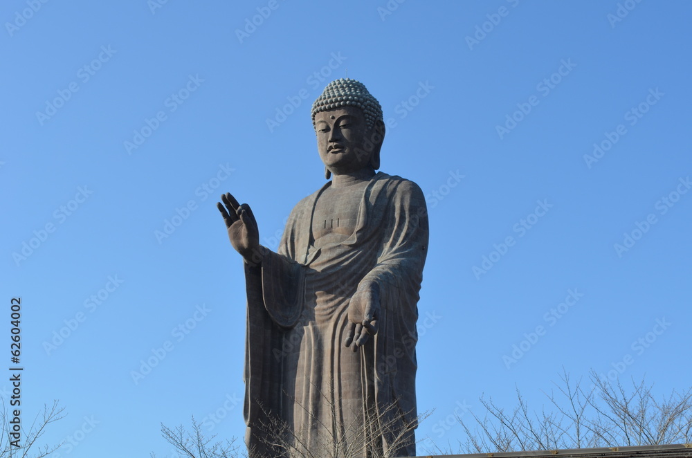 Fototapeta premium Giant Buddha Statue in Japan