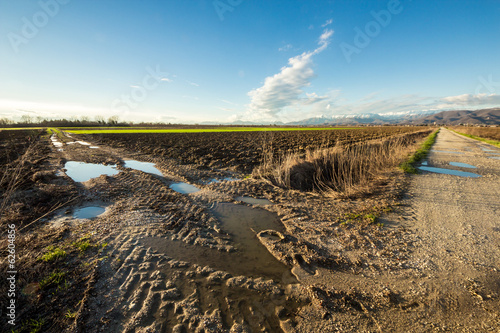 Konstfotografi puddles in the country road