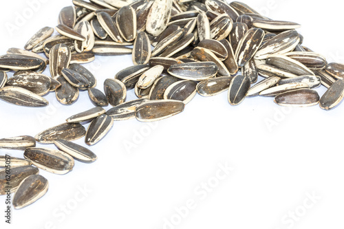 Obraz na plátně Sunflower seeds isolated on white background