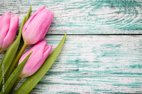 Fototapeta Naklejka Na Ścianę i Meble -  Tulip.