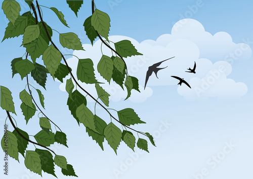 summer landscape with birch trees, blue sky and swallows