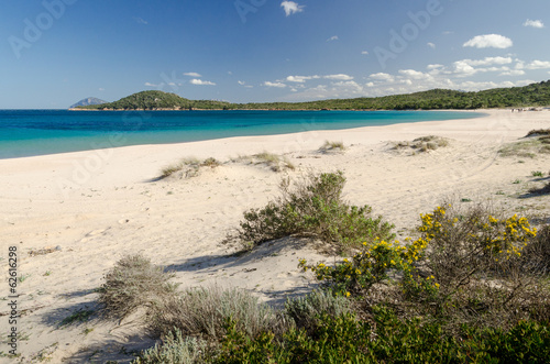 Sardinia  Costa Smeralda  Liscia Ruja beach