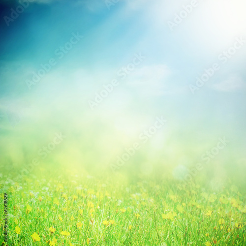 Spring sunny field