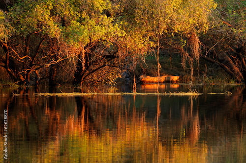 Fotografía Trees and reflection, Zambezi river