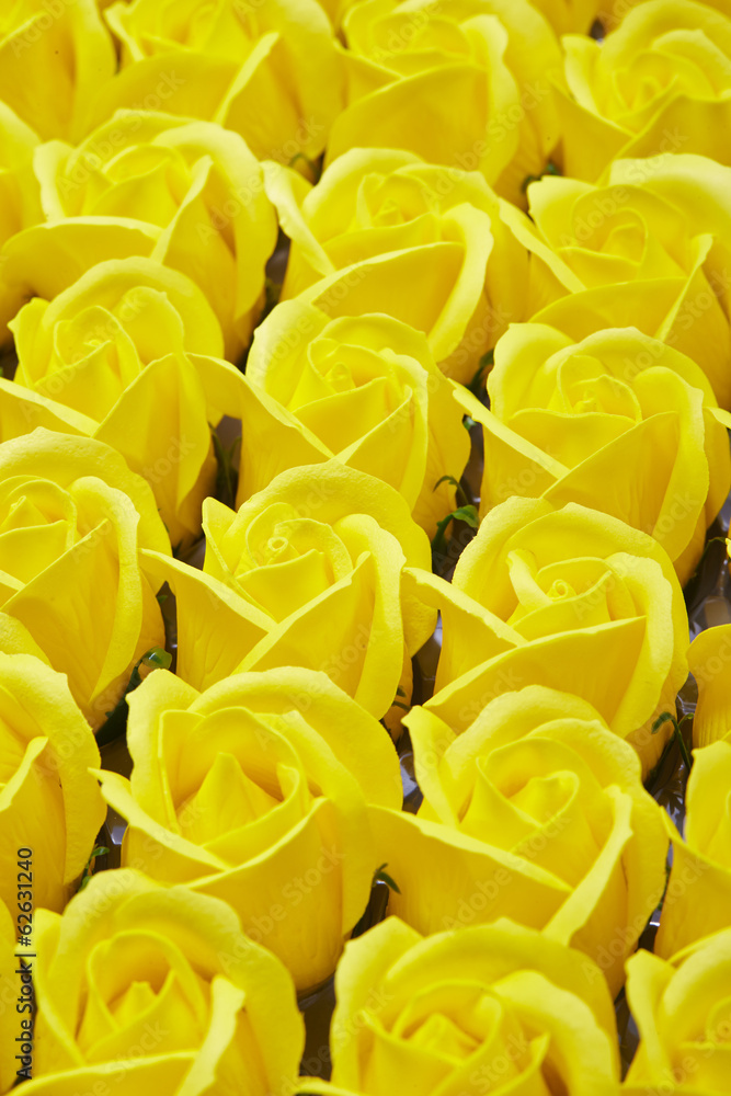 Obraz premium roses