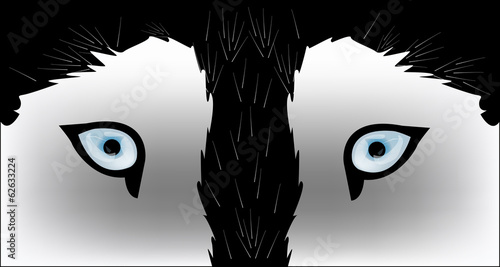 Husky dog - vector illustration