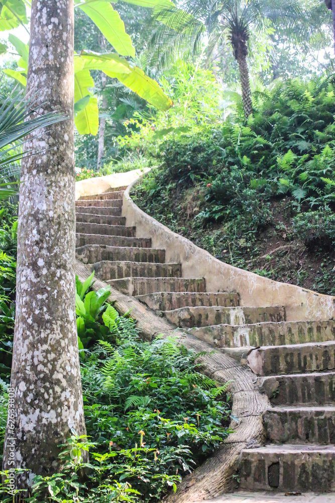 Fototapeta premium Stone ladder in park