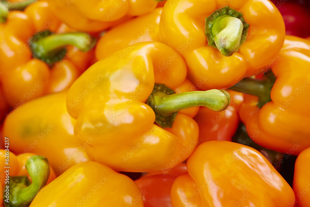 paprica paprica