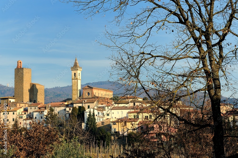Vinci-Panoramic view