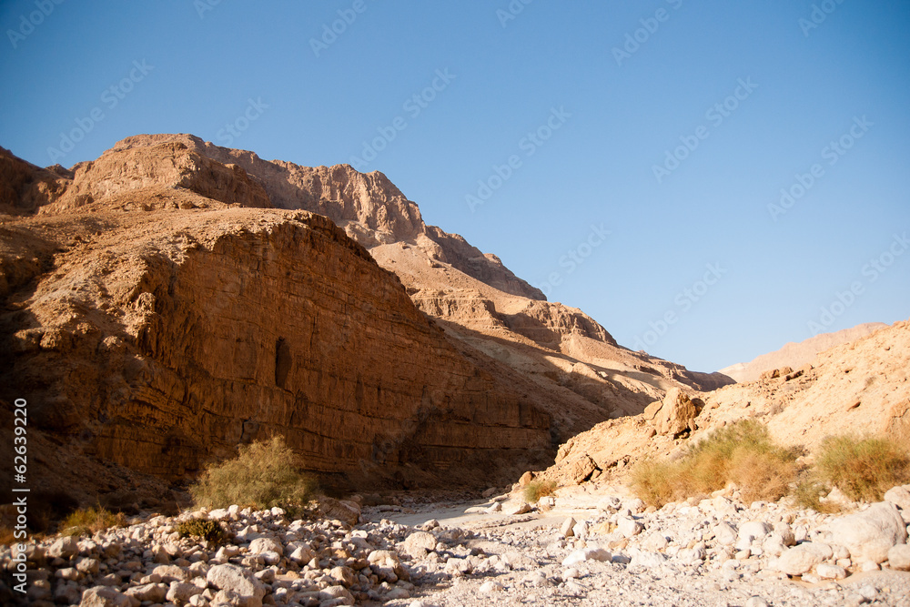 Fototapeta premium Mountains in stone desert nead Dead Sea